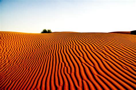 Arid .
